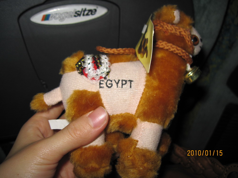2010-01-15 エジプト10.jpg
